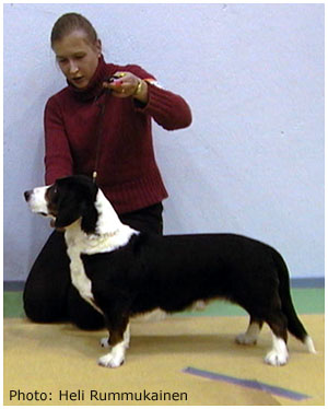 Mehtäapu Maunu