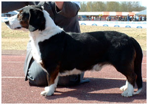 Meht&auml;apu Maunu