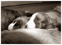Martha & Mariel