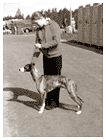 Taco with junior handler Hilla-Tuuli Ker&auml;nen in Joensuu dog show 26.5.